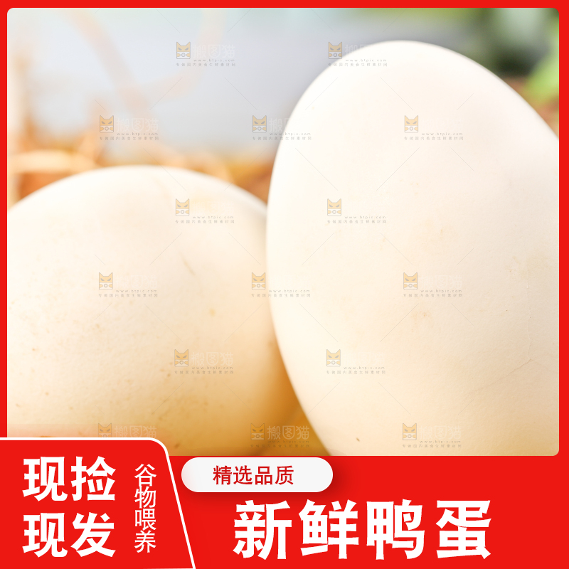 树叶上的鲜鸭蛋