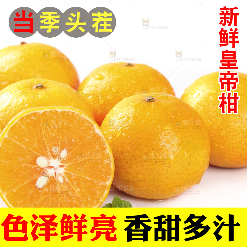 切开的皇帝贡柑放在白底上