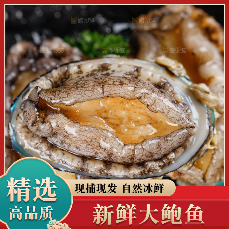 黑底上放着一盘鲜鲍鱼