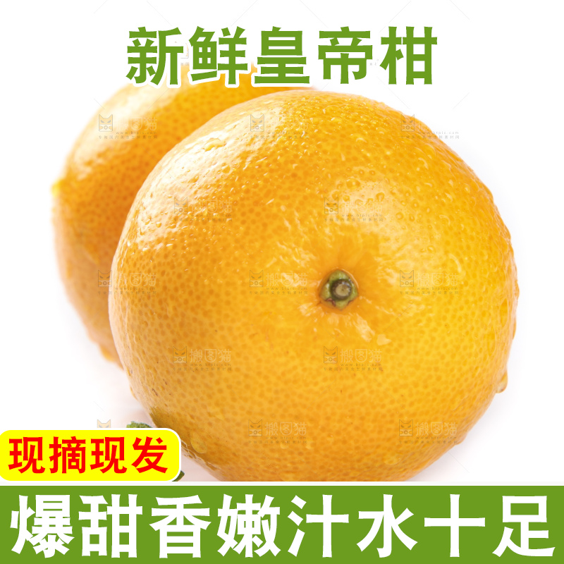 白底上的新鲜皇帝柑
