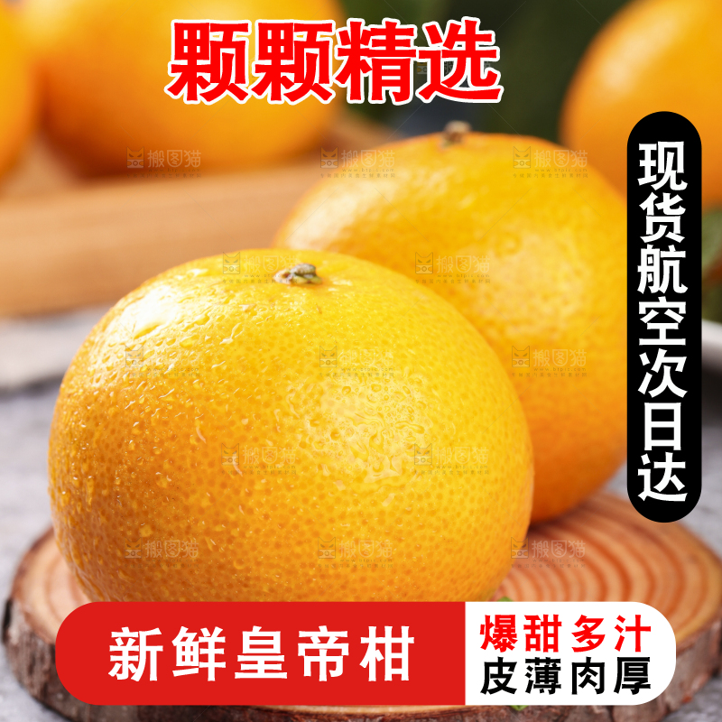 木板上的皇帝贡柑