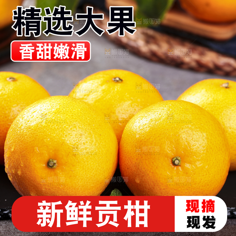 黑底上的皇帝柑