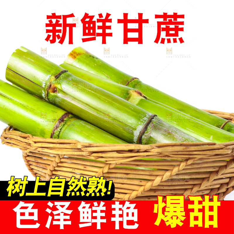 木底上放着一筐陶山青皮甘蔗