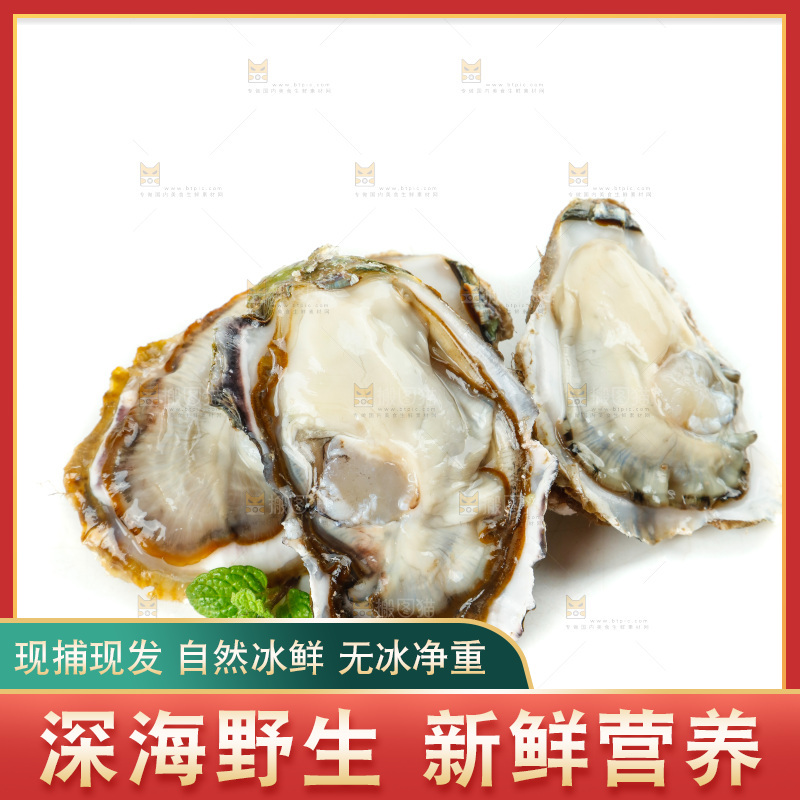 剥开的生蚝放在白底上