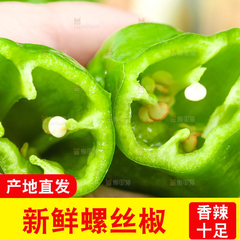 手拿青辣椒