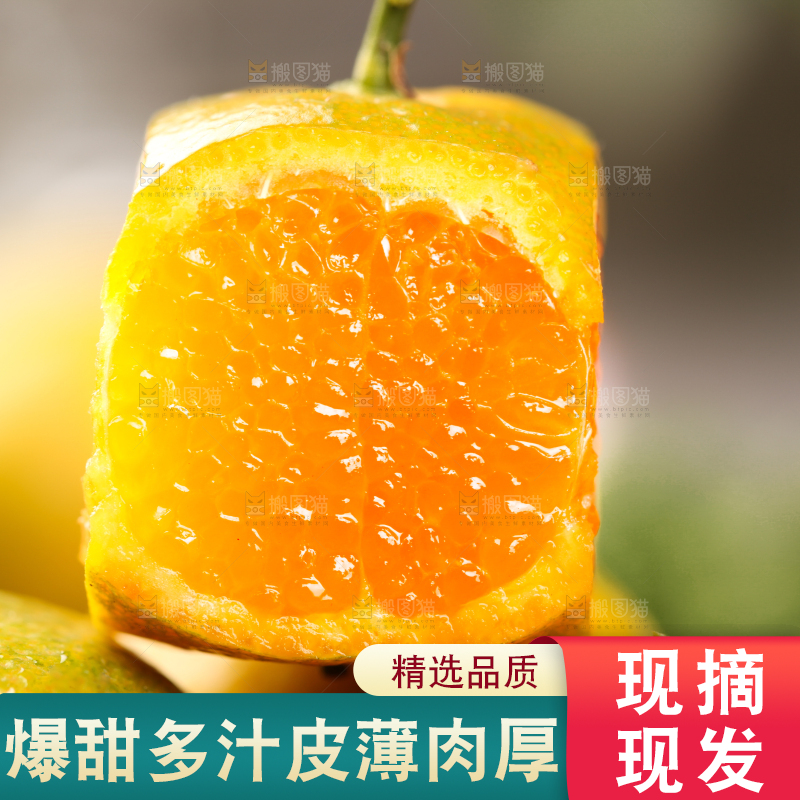 深底上的广西清香蜜桔