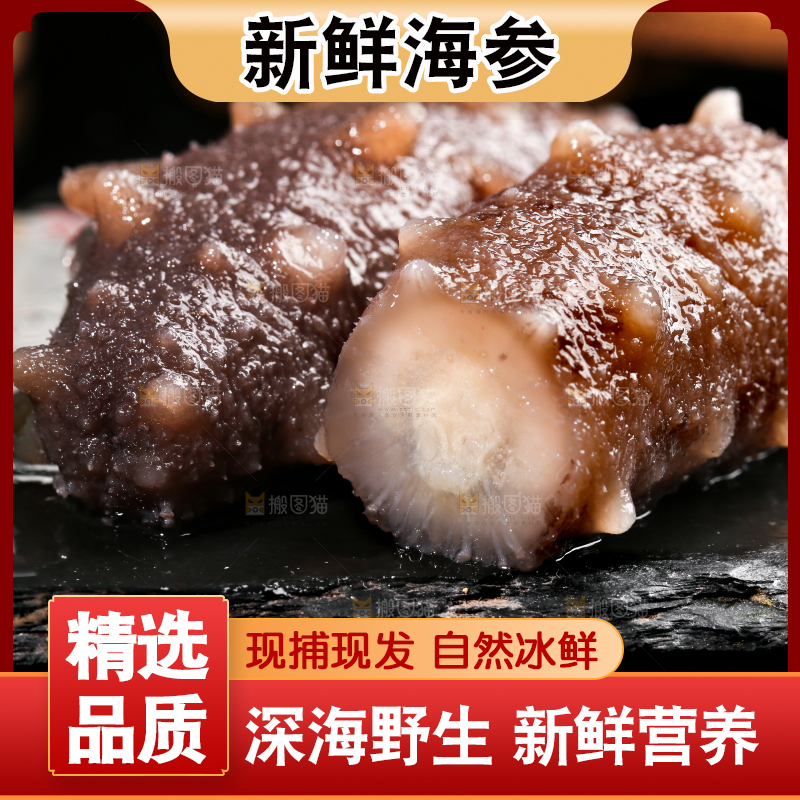 黑石板上的海参