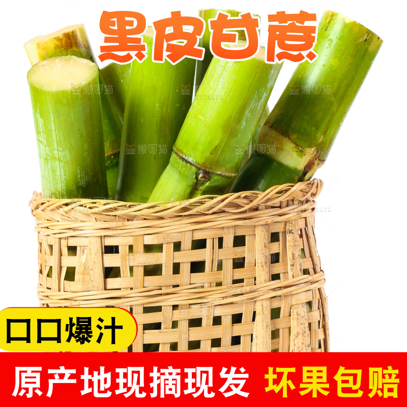 木底上放着一筐陶山青皮甘蔗