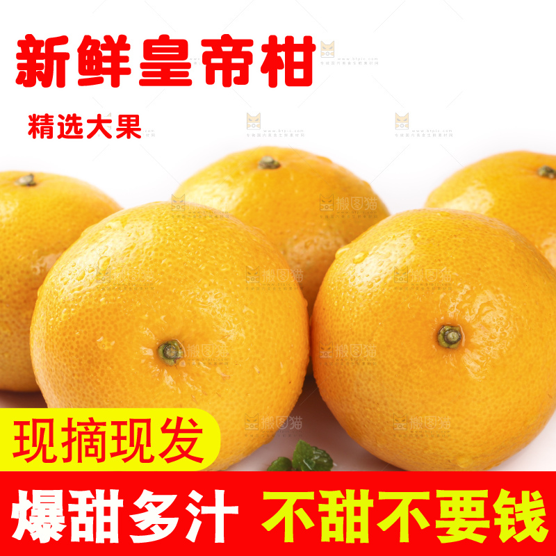 白底上的广西皇帝柑