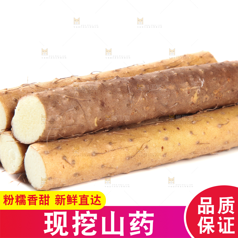 白底上摆放着山药