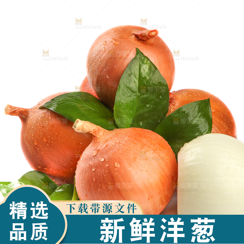 白底上放着黄皮洋葱