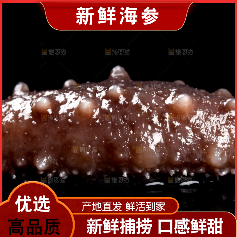 黑底上的海参