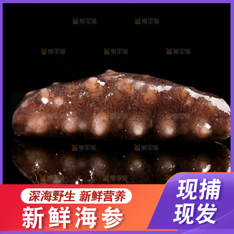 黑底上的海参