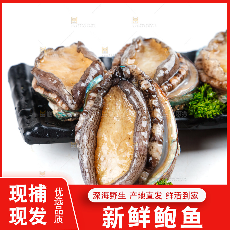 一盘鲜鲍鱼放在白底上