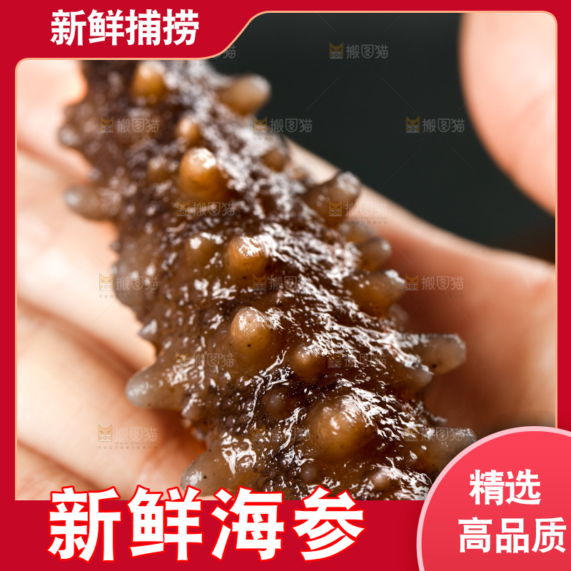 手拿海参