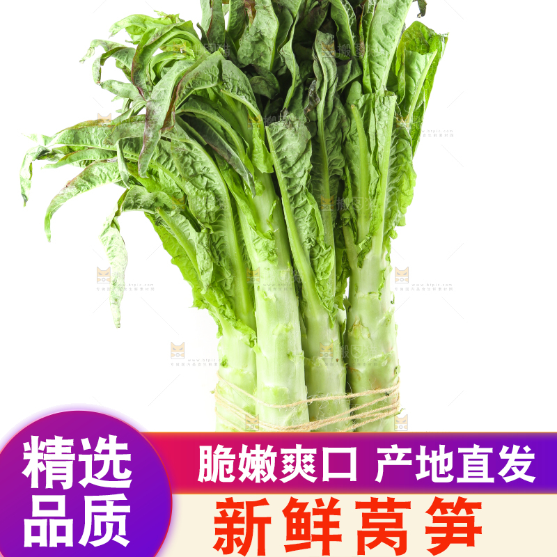 白底上摆放着莴笋