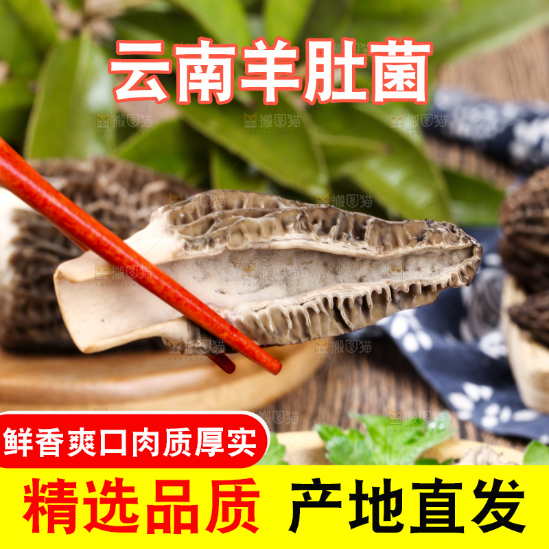 筷子夹着羊肚菇