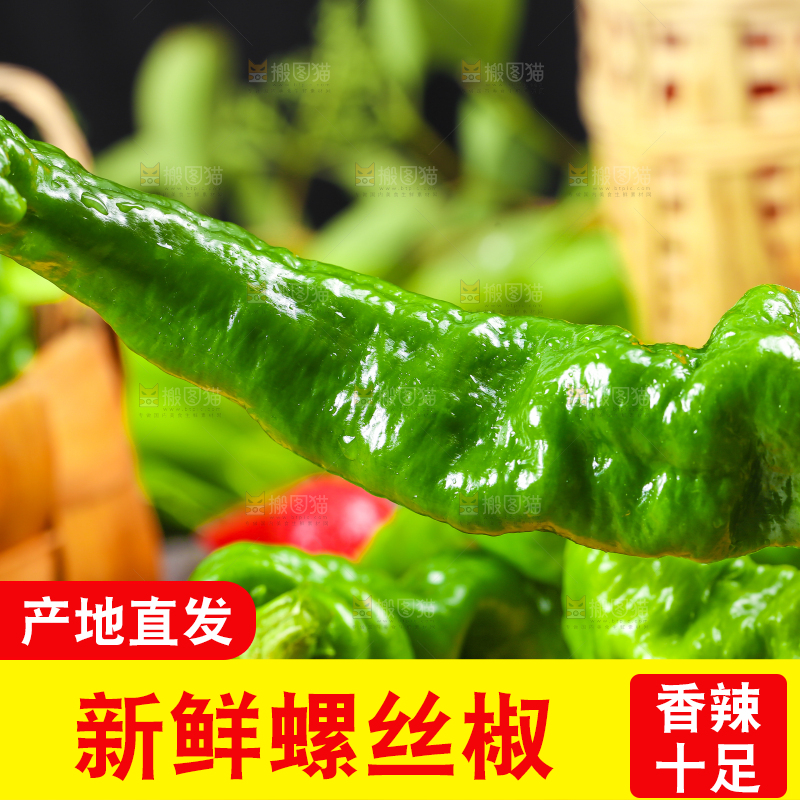 手拿青辣椒