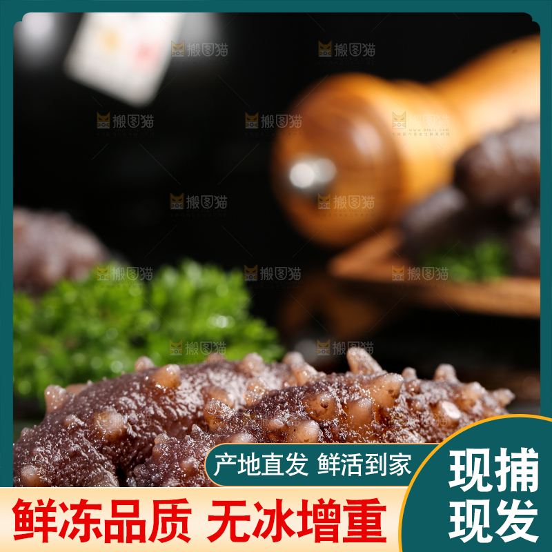 黑石板上的海参