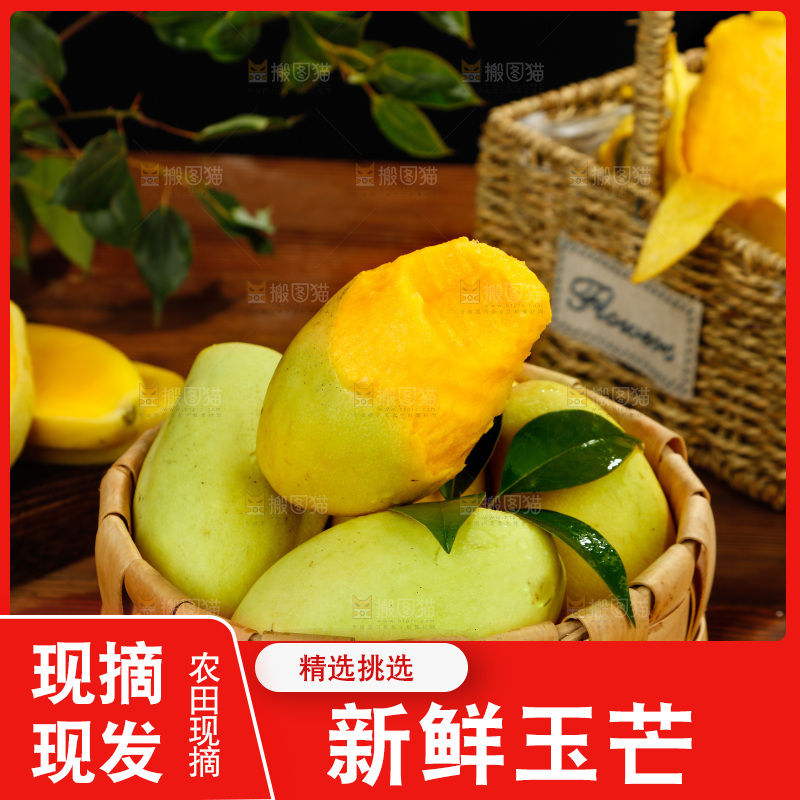 篮子里装着玉芒