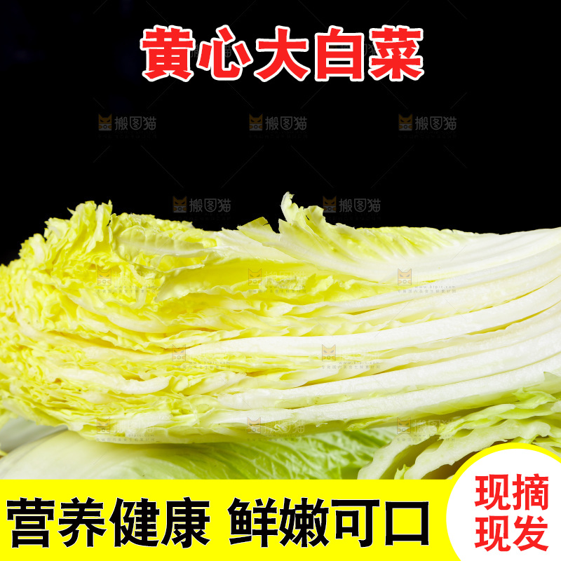 木底上放着切开的山东大白菜