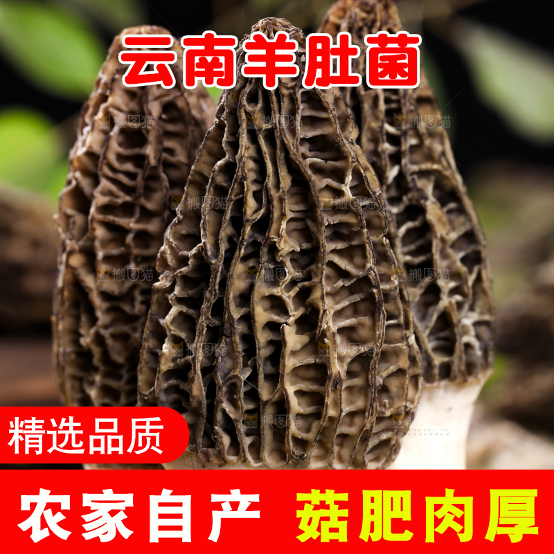 木板上放着羊肚菌