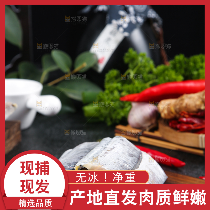 白底上的带鱼段