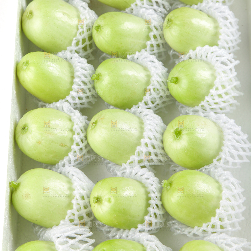 泡沫箱里装着玉女黄瓜