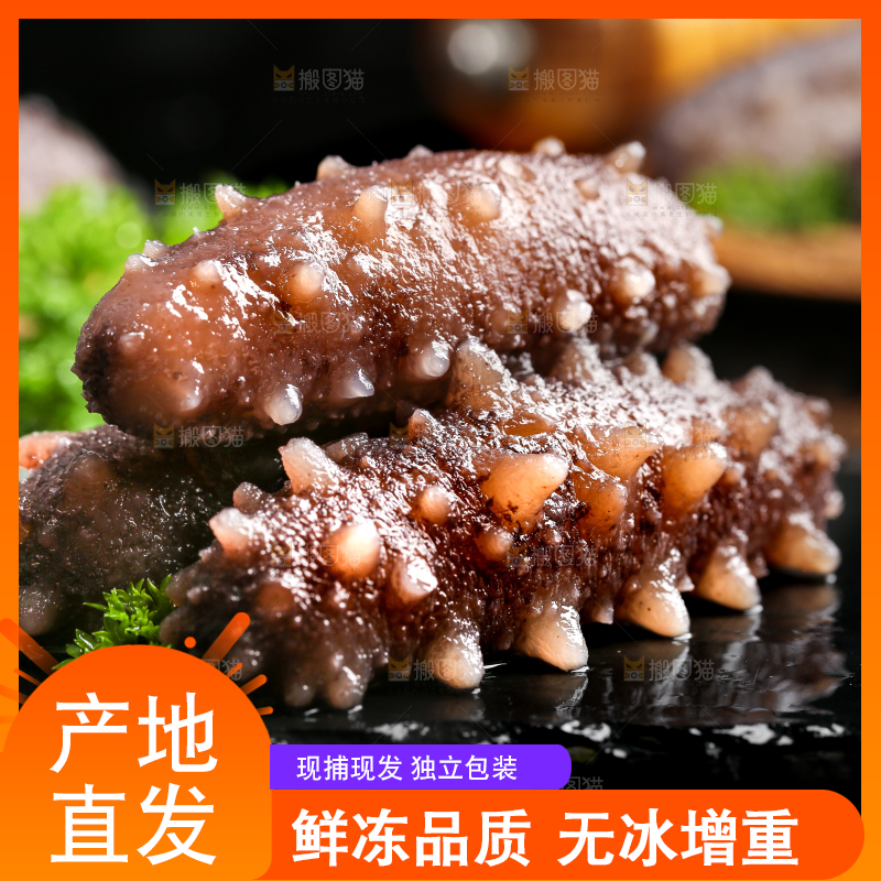 黑石板上的海参