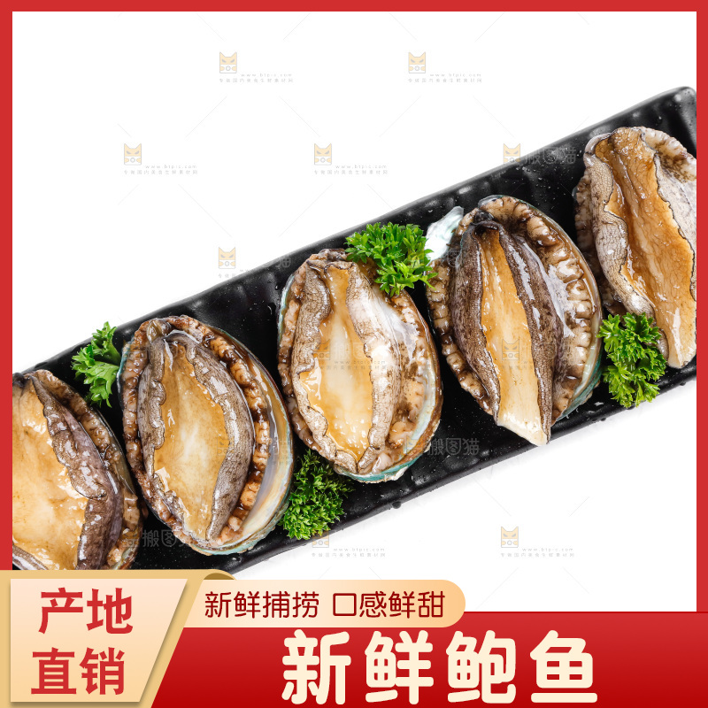 一盘鲜鲍鱼放在白底上
