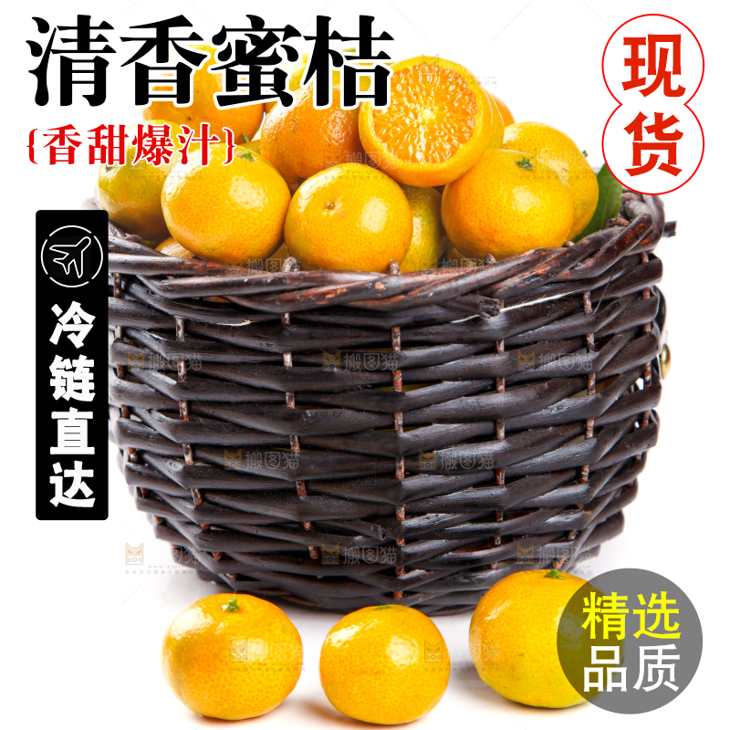 一筐清香蜜橘放在白底上