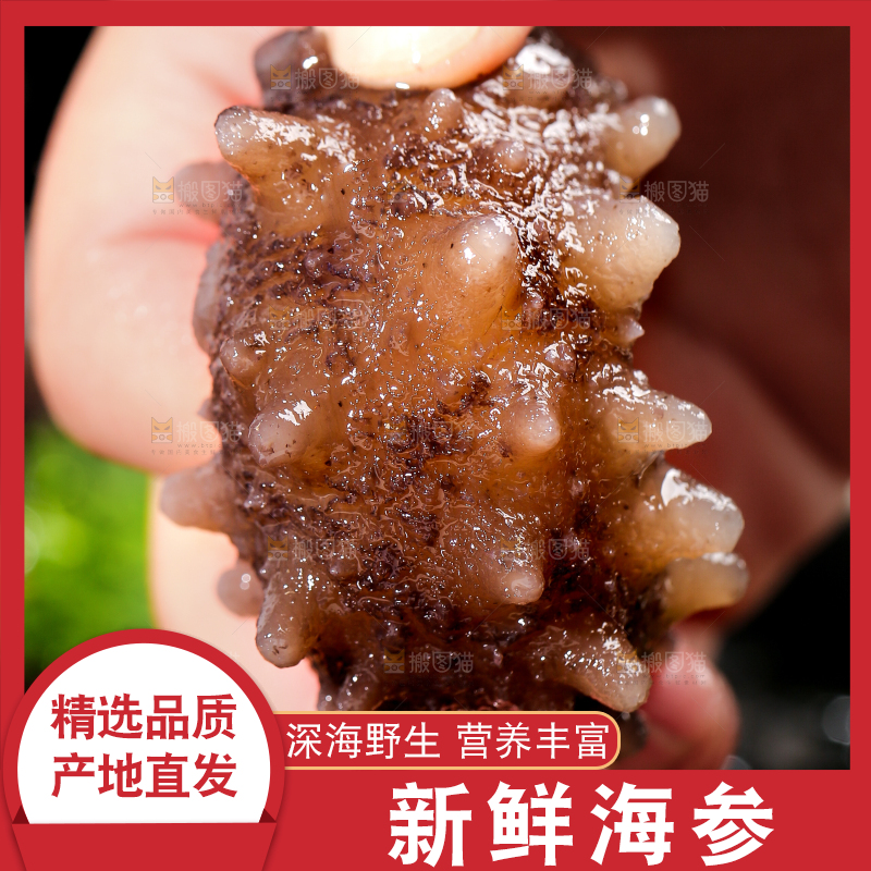 手拿海参