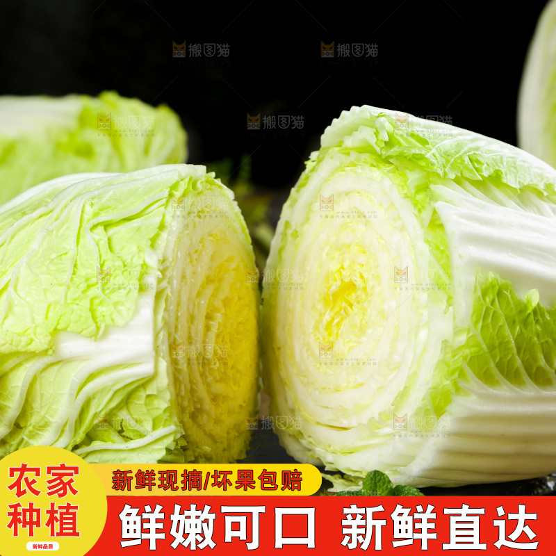 木底上放着切开的山东大白菜