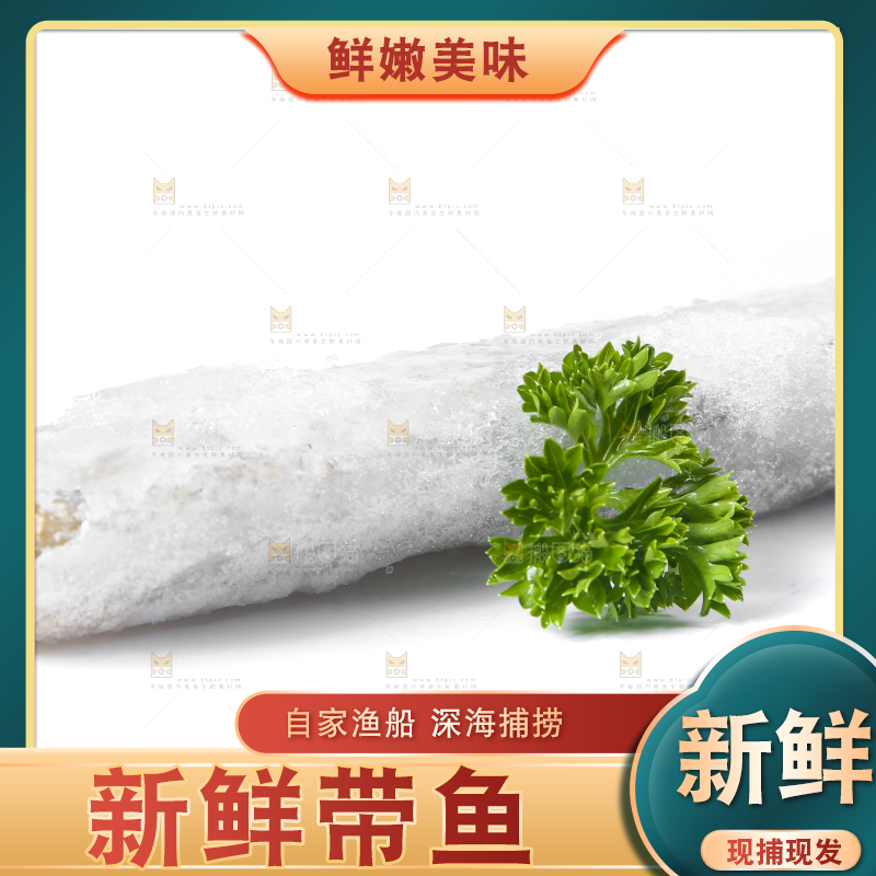 白底上的带鱼段