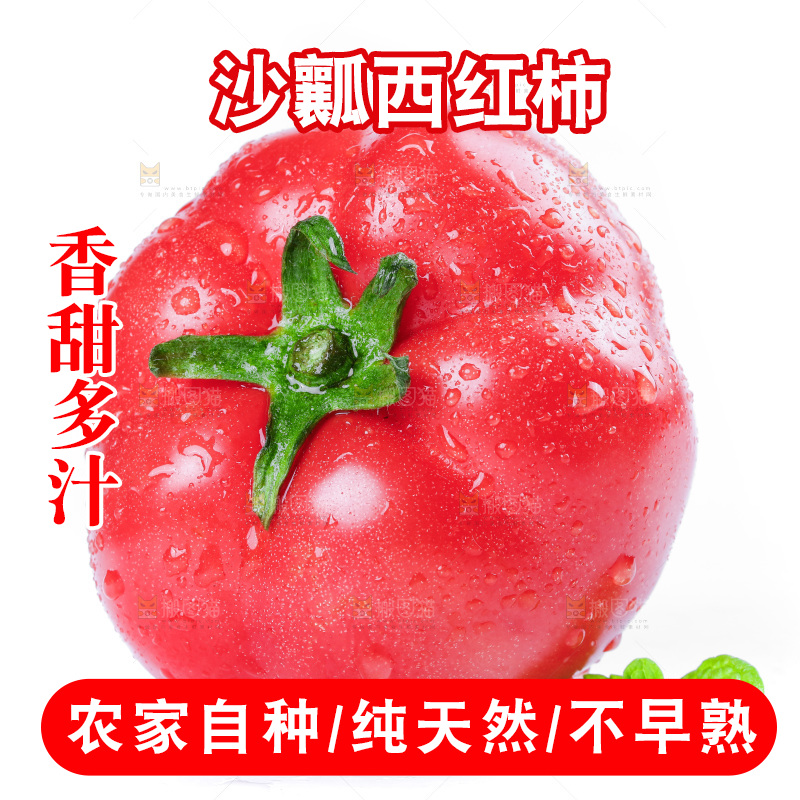 白底上摆放着西红柿