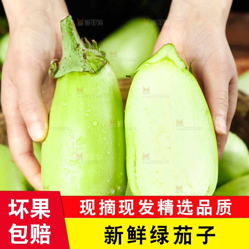 手里拿着青茄子