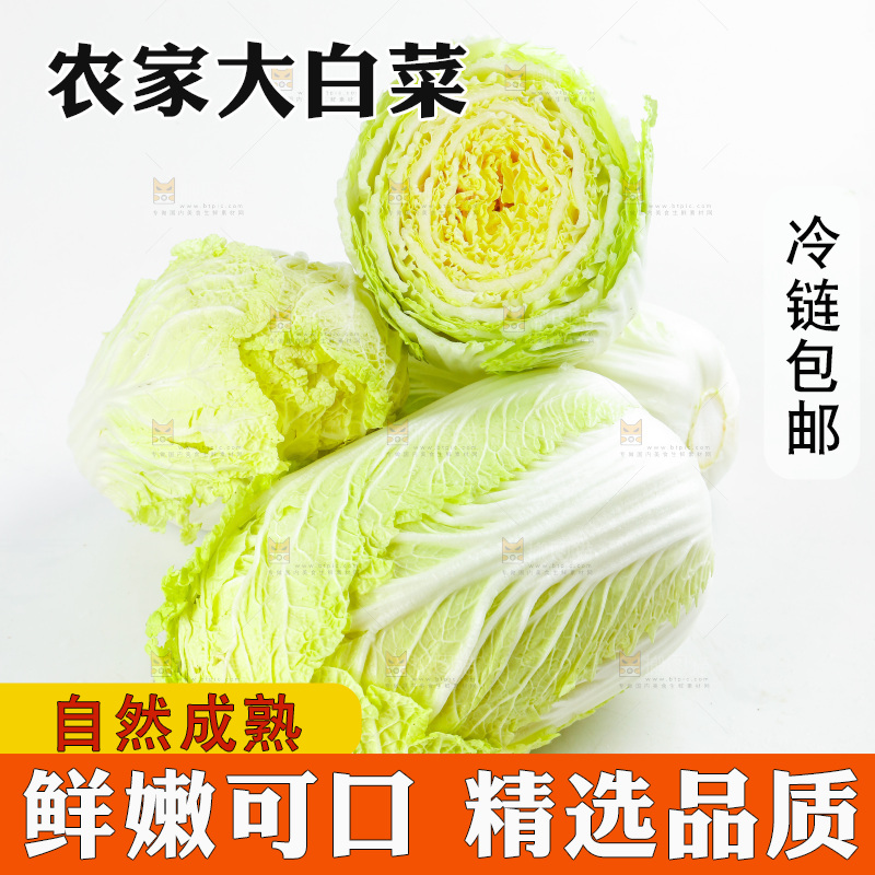 切开的黄心大白菜放在白底上