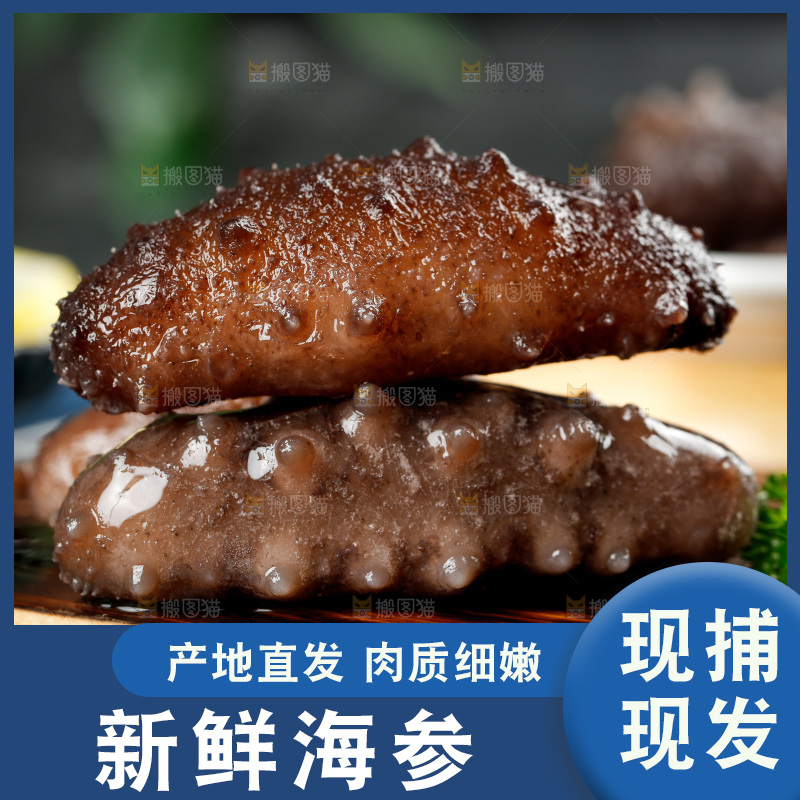 木底上的海参