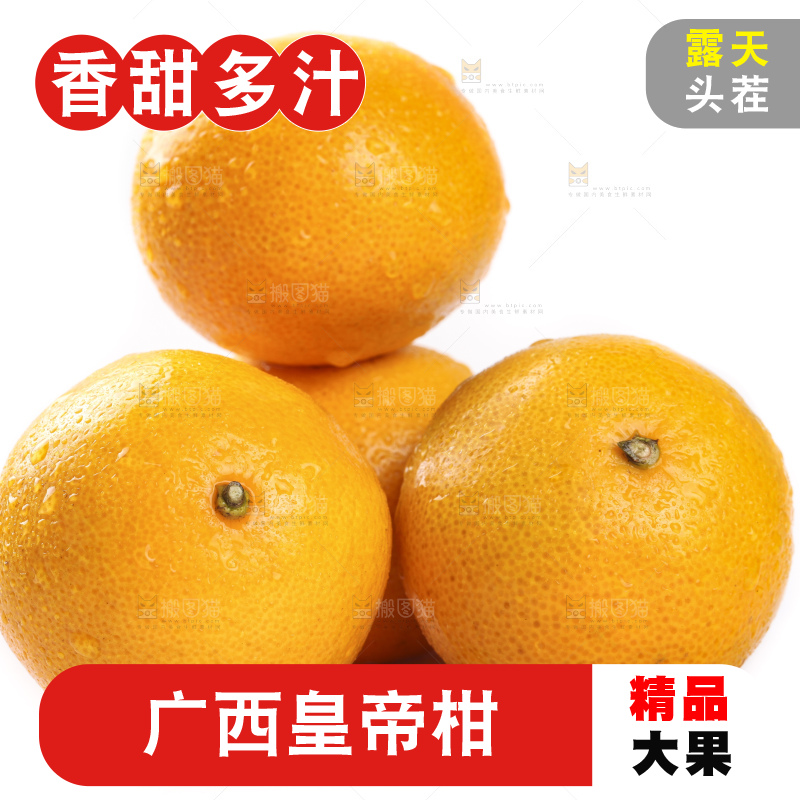 白底上的广西皇帝柑