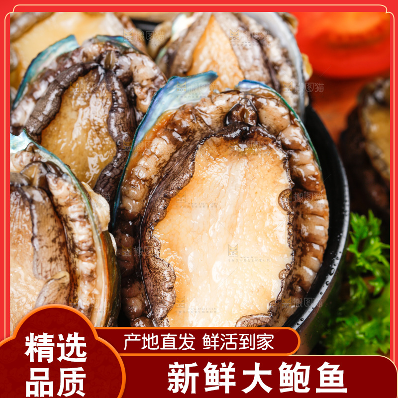 木底上放着一盘活冻大鲍鱼