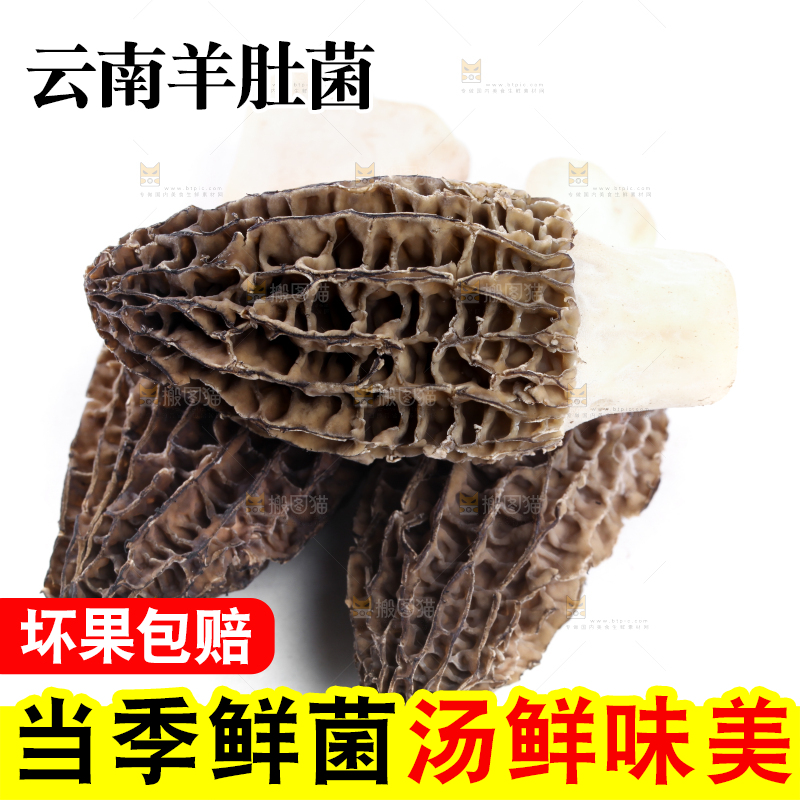 白底上摆放着羊肚菌
