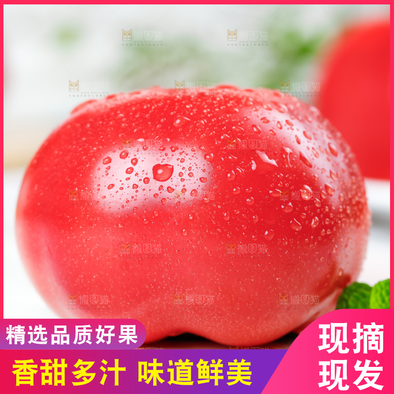 白底上的沙瓤西红柿