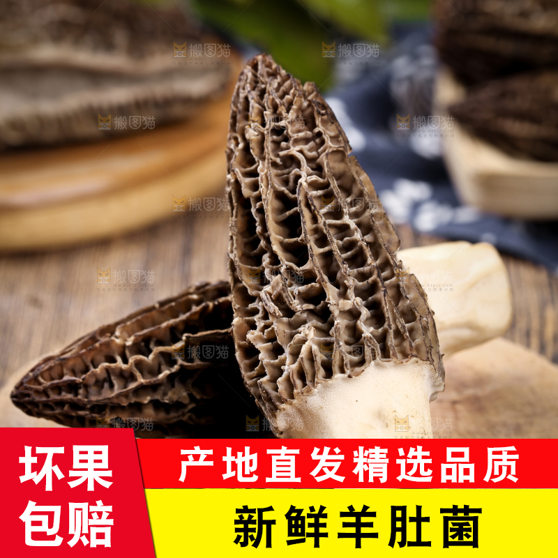 木底上放着羊肚菌