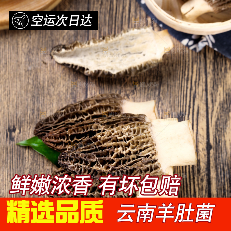 深底上摆放着羊肚菌