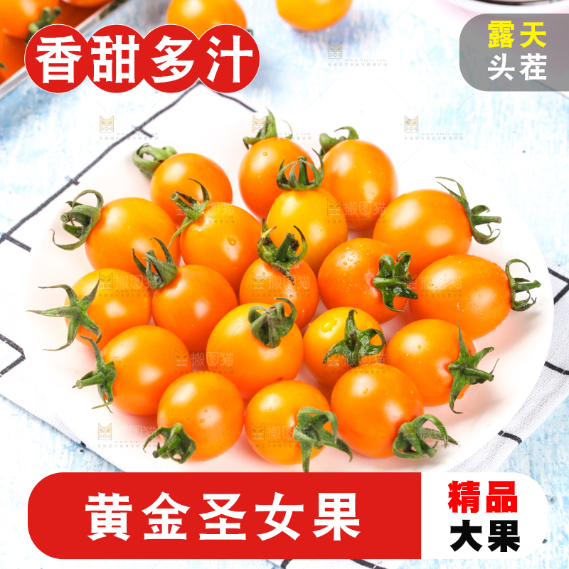 格子上放着小番茄
