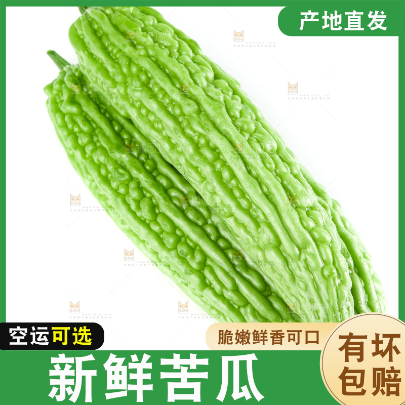 白底上摆放着凉瓜