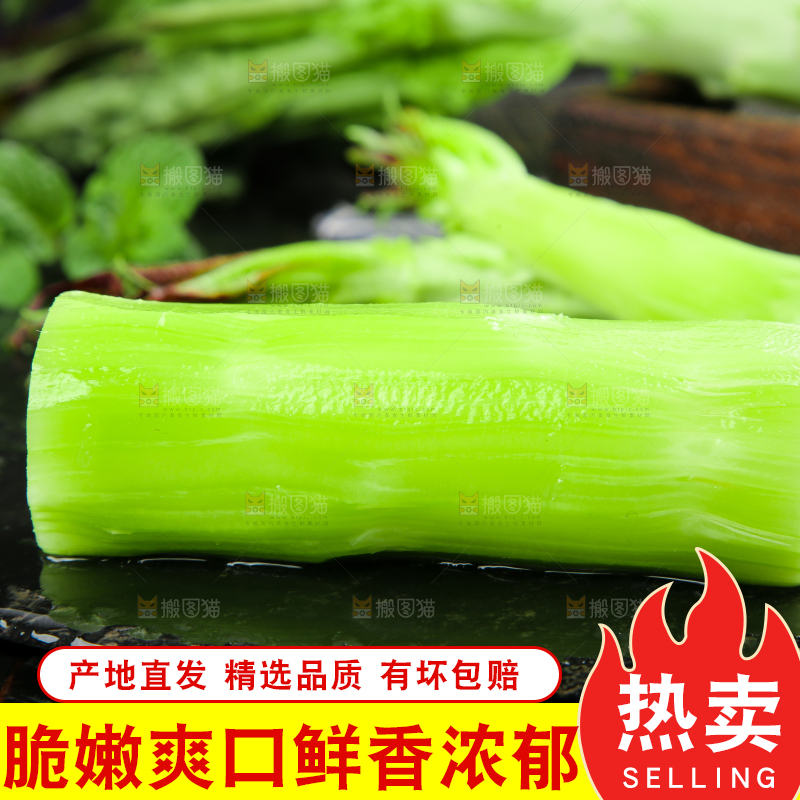 黑底上摆放着莴笋