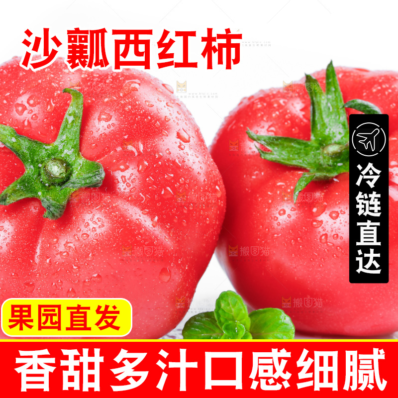 白底上摆放着西红柿
