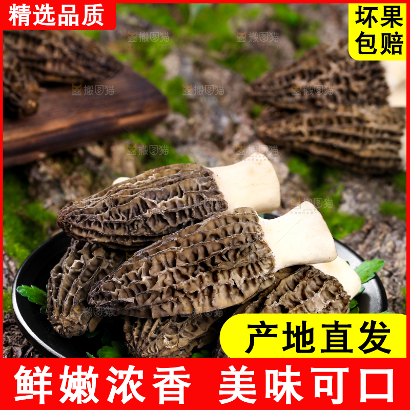 盘子里装着羊肚菌