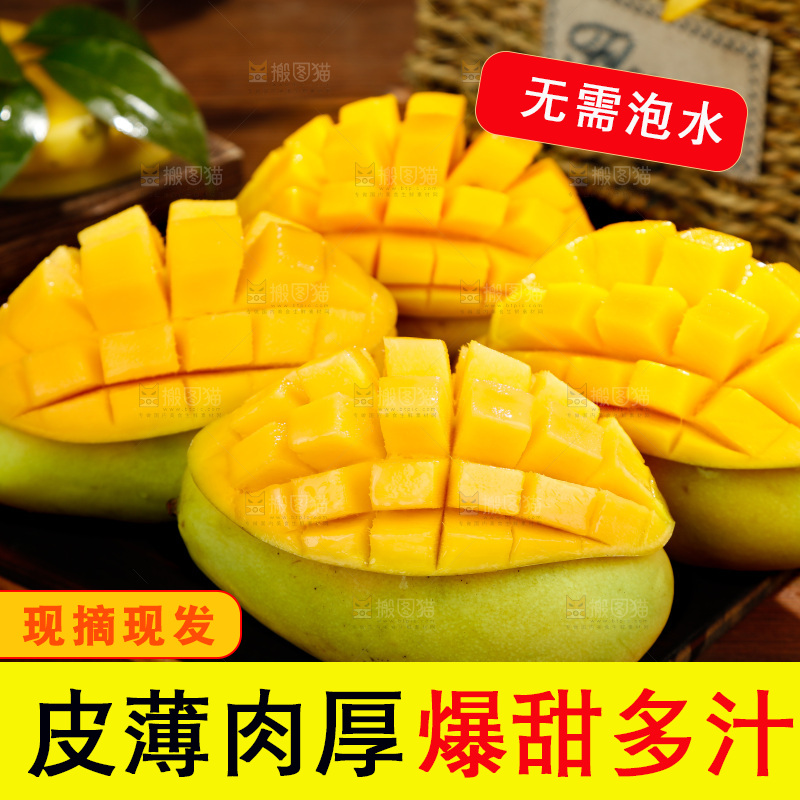 深底上摆放着玉芒